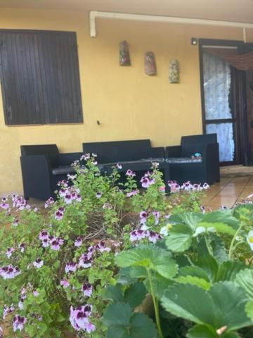 Casa Marinella Holiday home